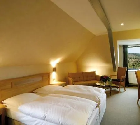 Hotel Schenck's & Gasthaus
